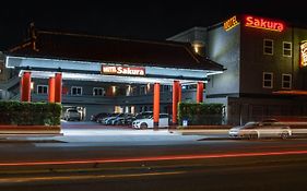 Sakura Inn (Adults Only)